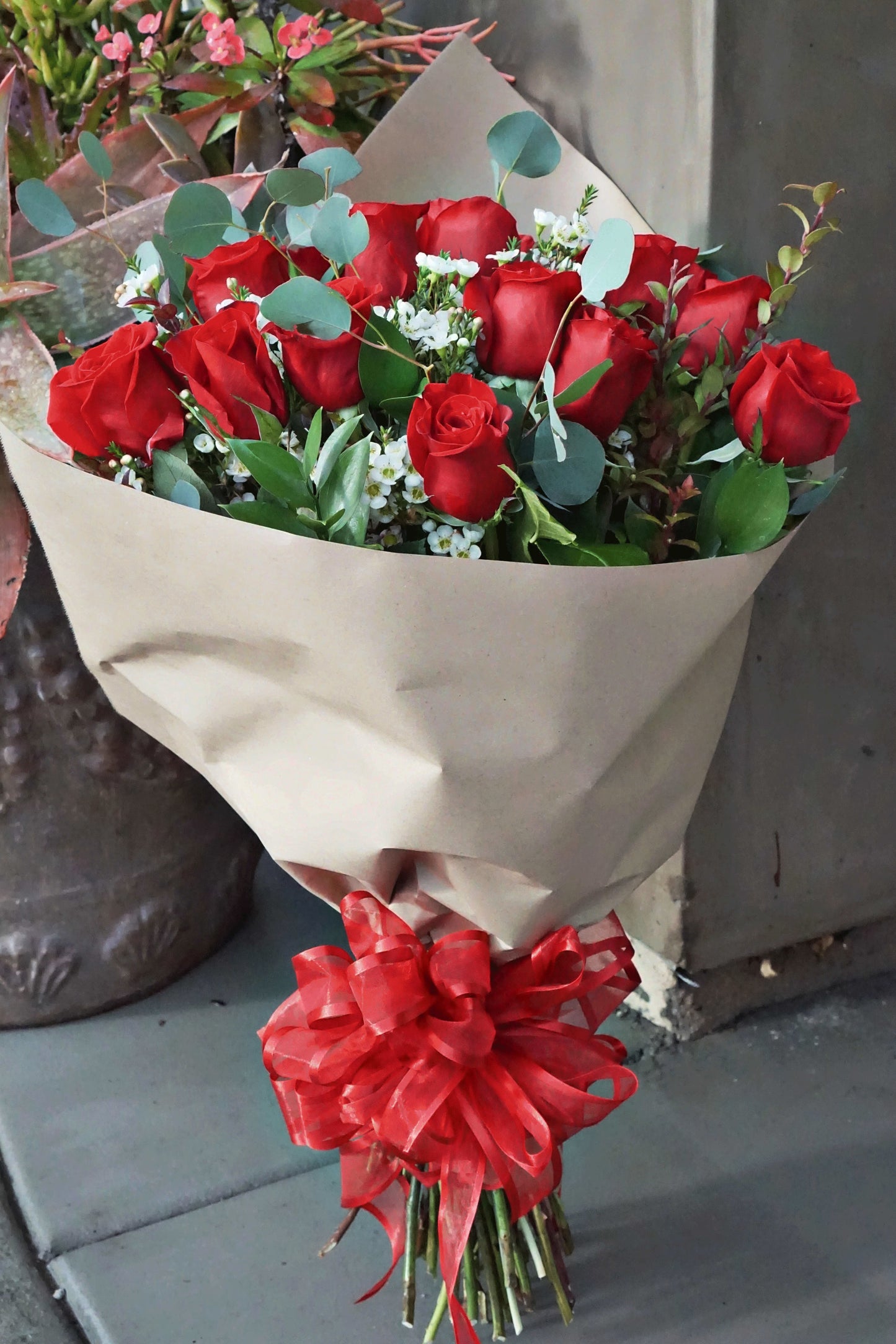 1 Dozen Roses/ 1 Dozena de Rosas