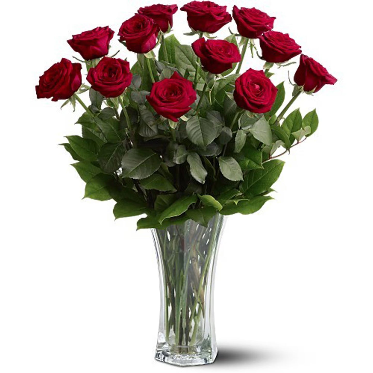 Dozen Roses in Vase